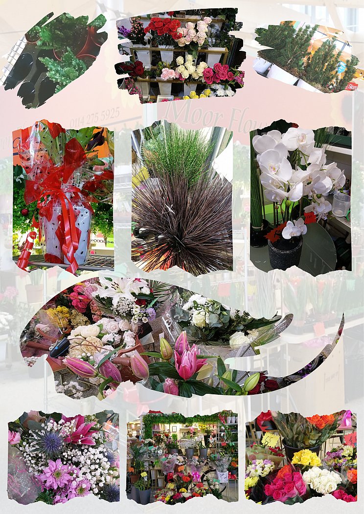 MOOR FLOWERS Sheffield Markets